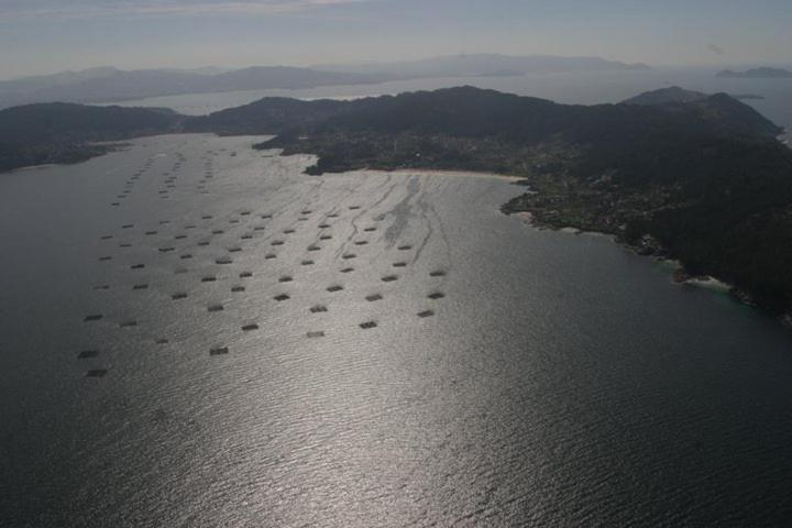 A Camelia Pensjonat 3*